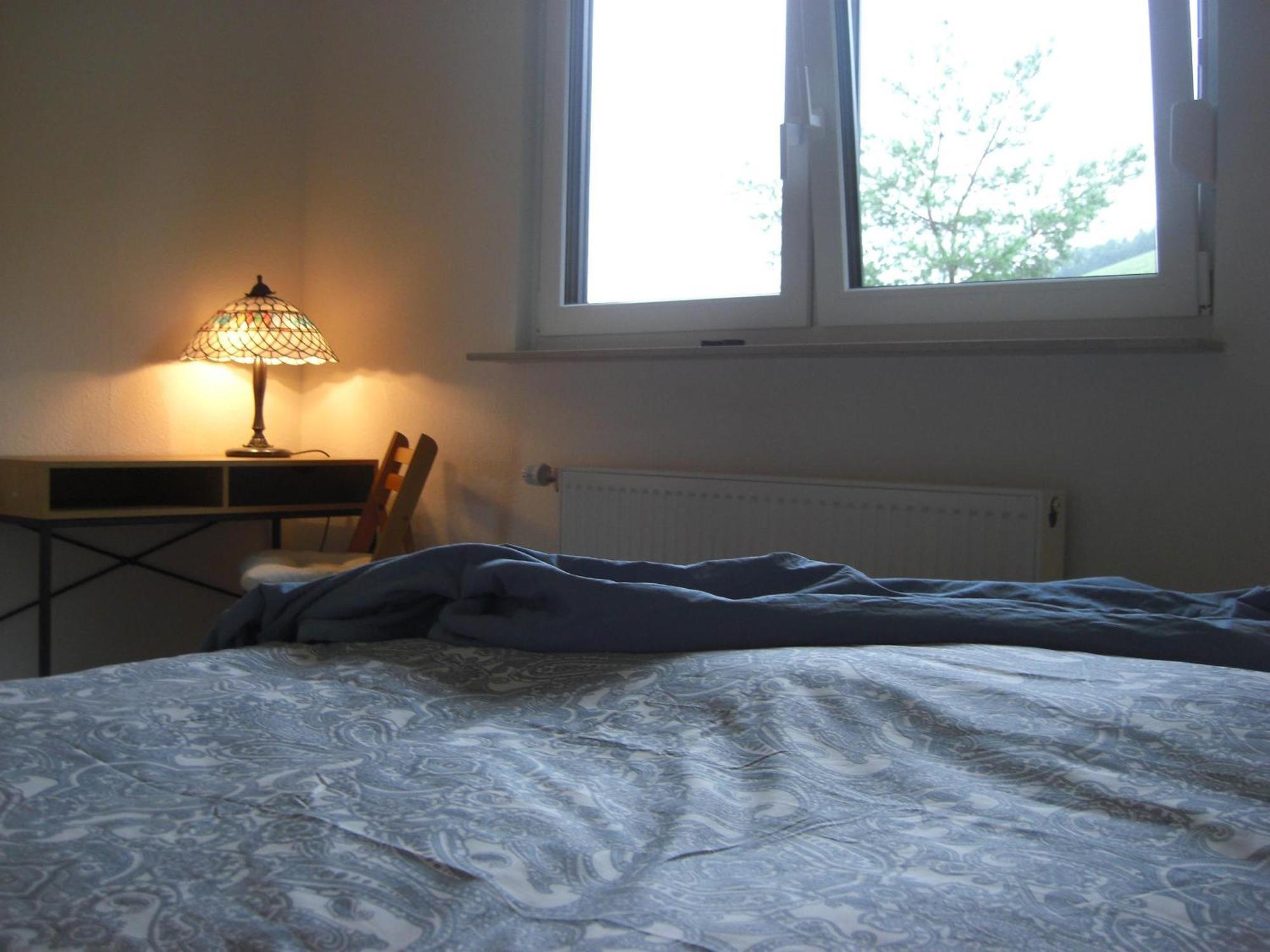 Ferienwohnung Alter Weinberg Саарбург Екстер'єр фото